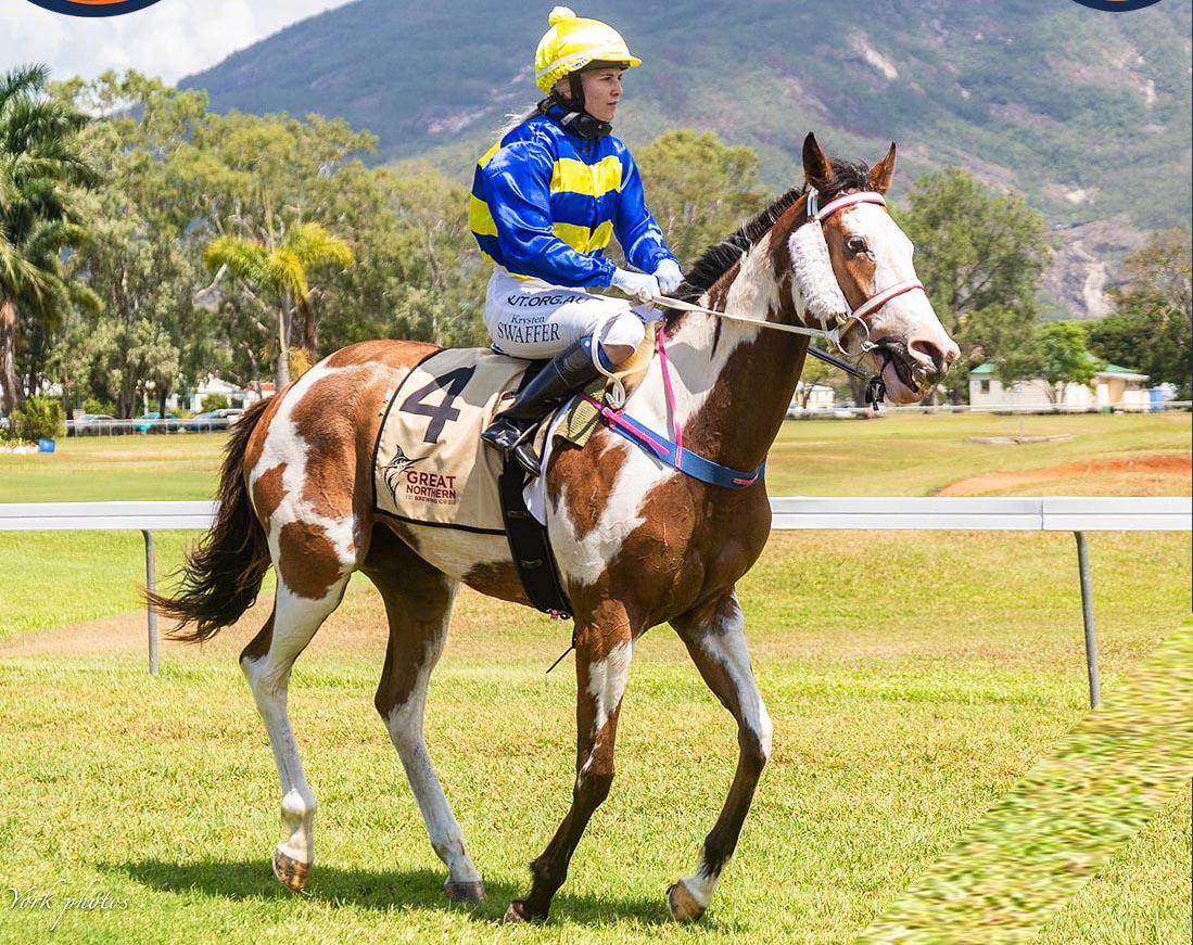 Splash of Paint - Horse Racing